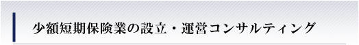 少額短期保険業の設立・運営コンサルティング