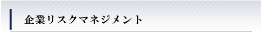 リスクコンサルティング